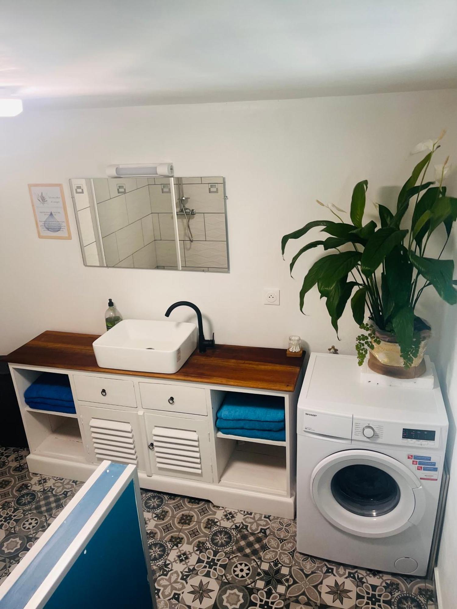 Villa Fleurs De Mangue Saint-Louis Esterno foto